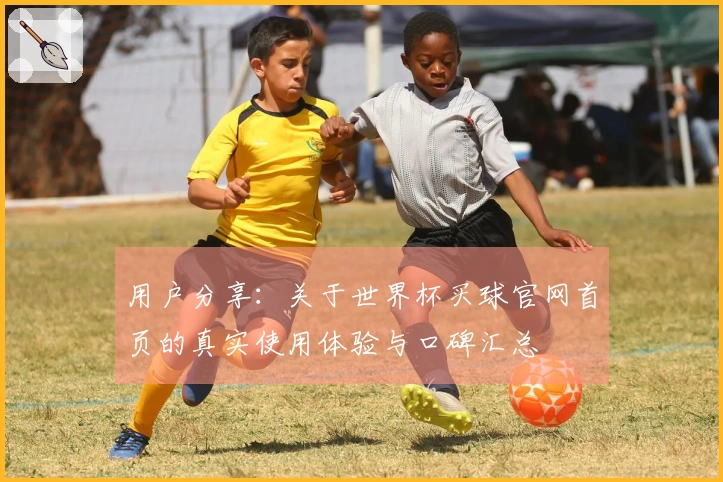 用户分享：关于世界杯买球官网首页的真实使用体验与口碑汇总