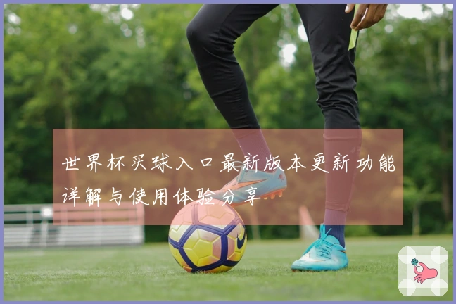 世界杯买球入口最新版本更新功能详解与使用体验分享
