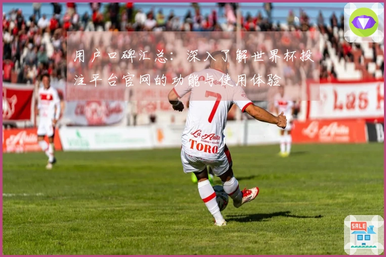 用户口碑汇总：深入了解世界杯投注平台官网的功能与使用体验