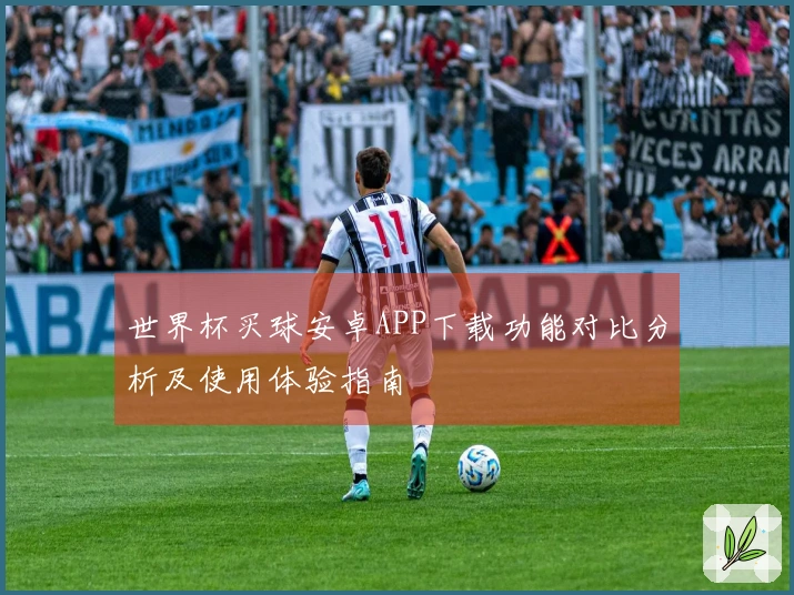 世界杯买球安卓APP下载功能对比分析及使用体验指南