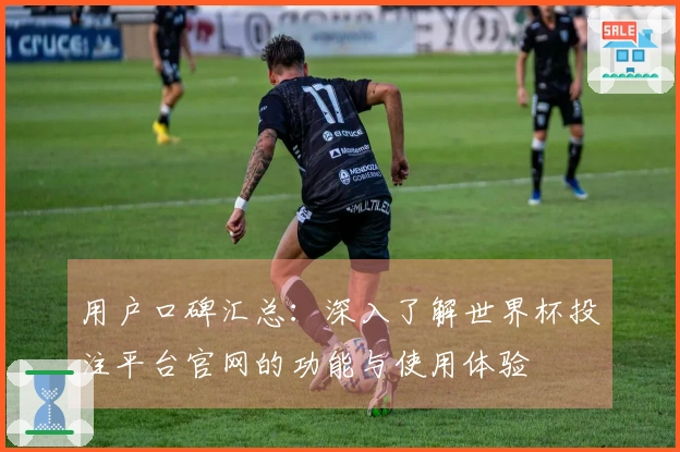 用户口碑汇总：深入了解世界杯投注平台官网的功能与使用体验