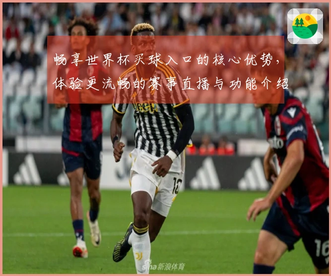 畅享世界杯买球入口的核心优势，体验更流畅的赛事直播与功能介绍