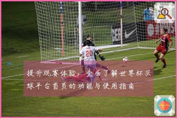 提升观赛体验，全面了解世界杯买球平台首页的功能与使用指南