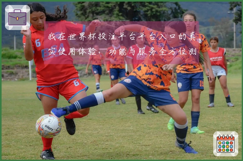 我在世界杯投注平台平台入口的真实使用体验，功能与服务全方位测评