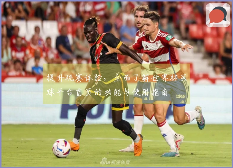 提升观赛体验，全面了解世界杯买球平台首页的功能与使用指南