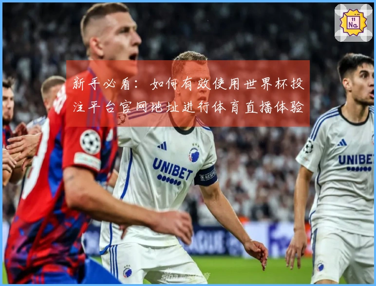 新手必看：如何有效使用世界杯投注平台官网地址进行体育直播体验
