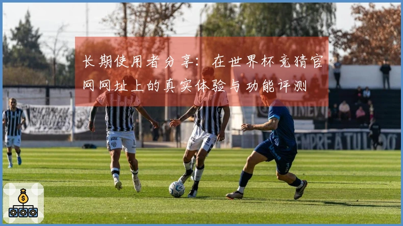 长期使用者分享：在世界杯竞猜官网网址上的真实体验与功能评测